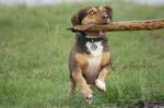 guck mal