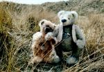 Fotos von Haustierfotos von Stofftieren in geselliger Zusammenkunft