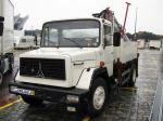 Fotos von Haustierfotos von Gel�ndeautos