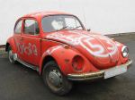 Fotos von Haustierfotos von vergessenen Autos