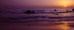 Fotos von Haustierfotos von Str�nden und Meer